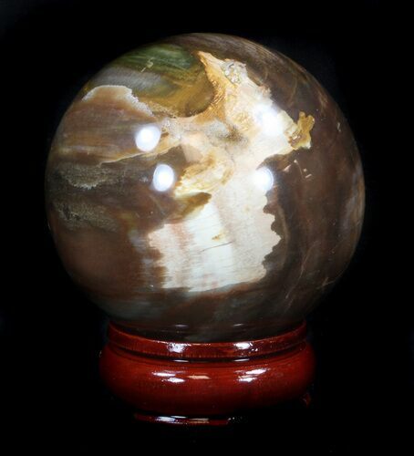 Colorful Petrified Wood Sphere #36973